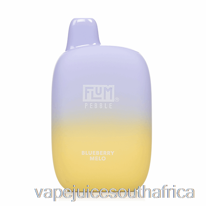 Vape Juice South Africa Flum Pebble 6000 Disposable Blueberry Melo